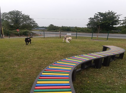 Dog Shelter Photo 3 Dog Shelter Photo 3